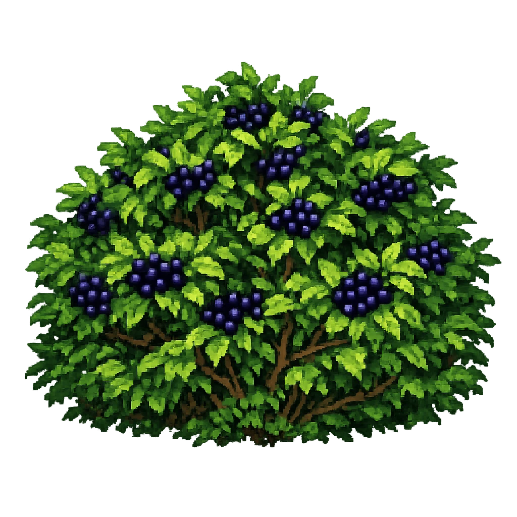 Berry Bush