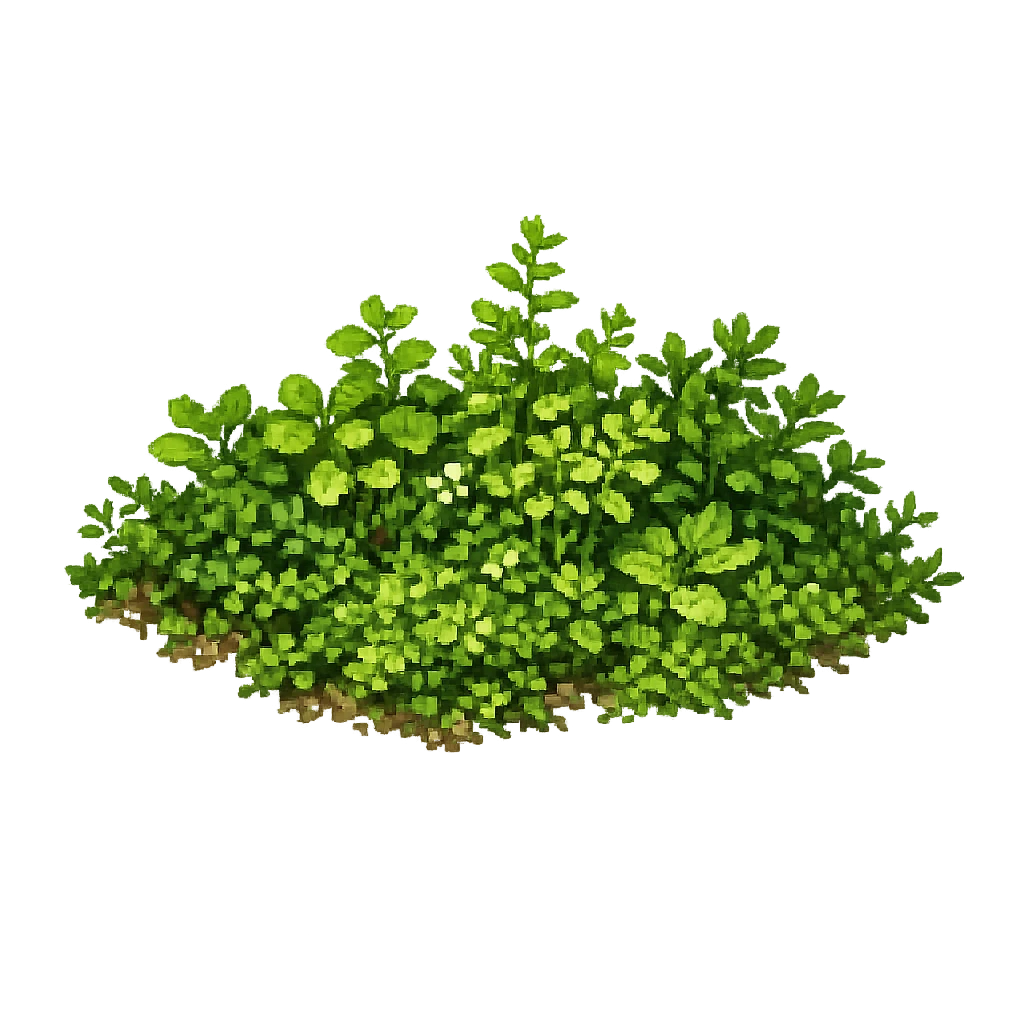 Herb Patch, Wildflower Flats plants