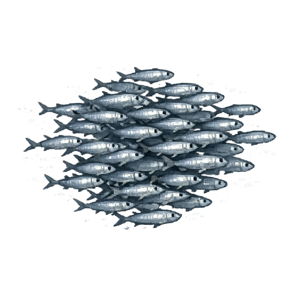 School of Fish (deep), Fishing Spot (shallow)